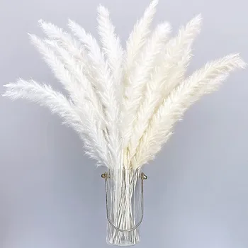 Pampe Trave Suhe Reed Flores Umetno Cvetje Fleurs Artificielles Doma Dekor Mariage Accessoirres Deco Poroka Dekoracija