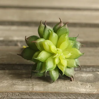 umetni fleshiness Kaktus rastlin pravi dotik dlani bonsaj lokalno okolje dekorativni cvet za talbe dekoracijo